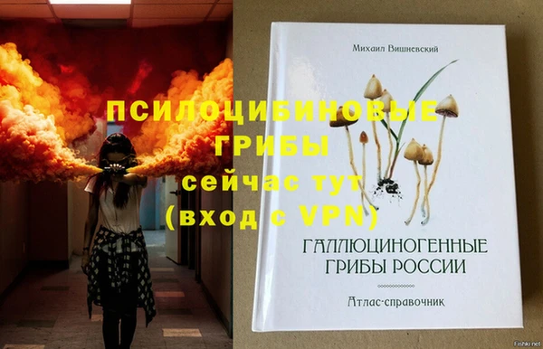 спиды Алексин