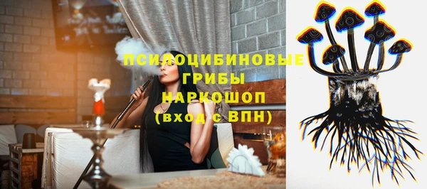 ГАЛЛЮЦИНОГЕННЫЕ ГРИБЫ Алзамай